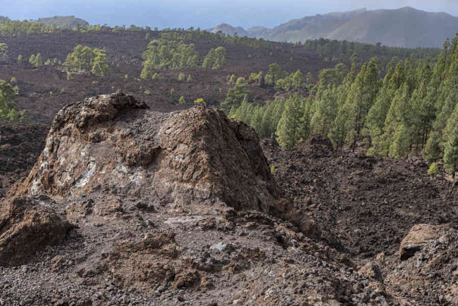 Tenerife 38 - parque nacional del Teide.jpg